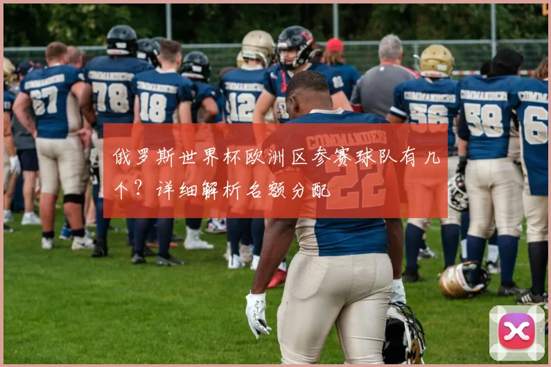 俄罗斯世界杯欧洲区参赛球队有几个？详细解析名额分配