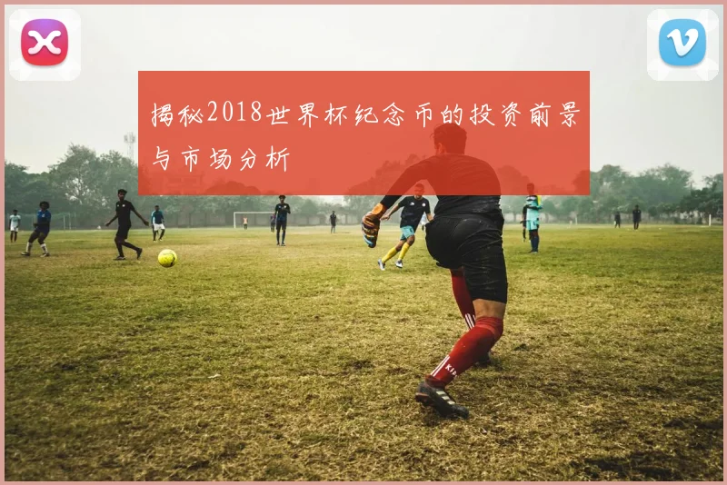 揭秘2018世界杯纪念币的投资前景与市场分析