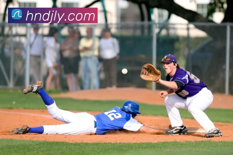 米兰app官方正版官网服务体系